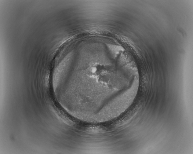 X0000110910596200907091438