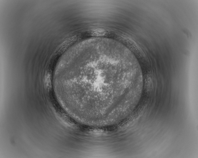 X0000110910598200907091438