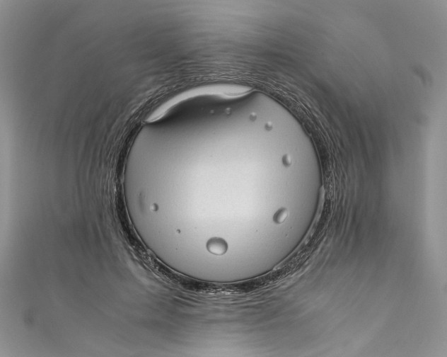 X0000110910599200907091438