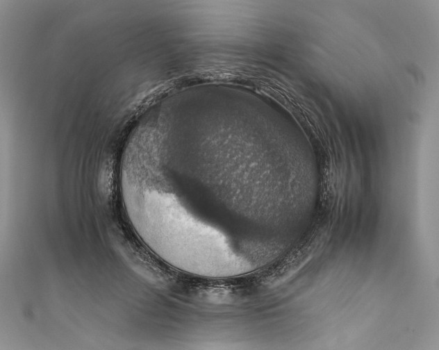 X0000110910600200907091438