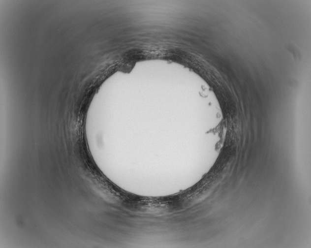 X0000110910601200907091438