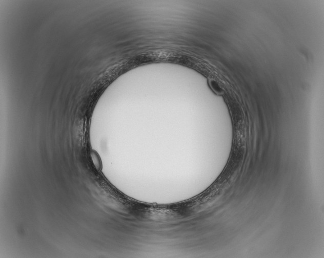 X0000110910605200907091438