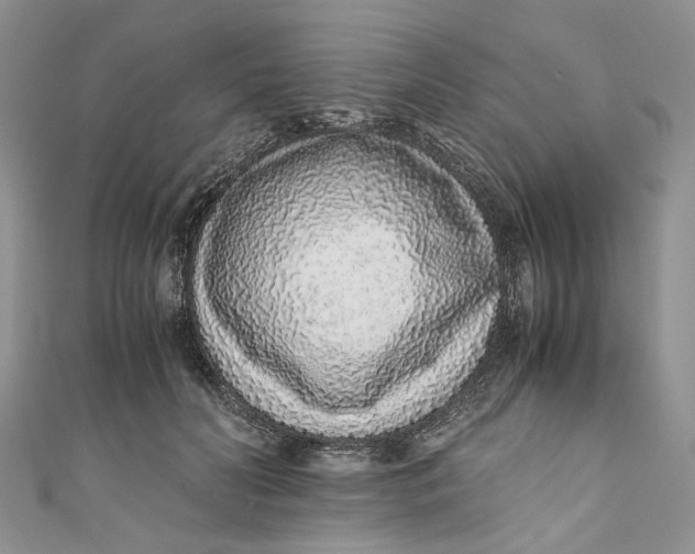 X0000110910606200907091438