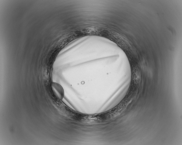 X0000110910607200907091438