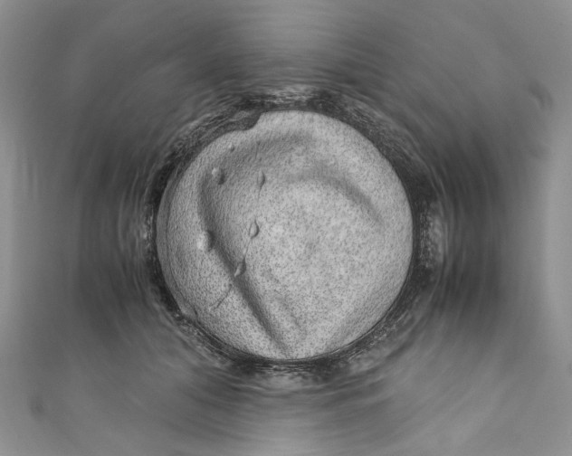 X0000110910608200907091438