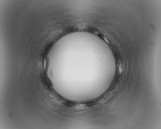 X0000110910609200907091438