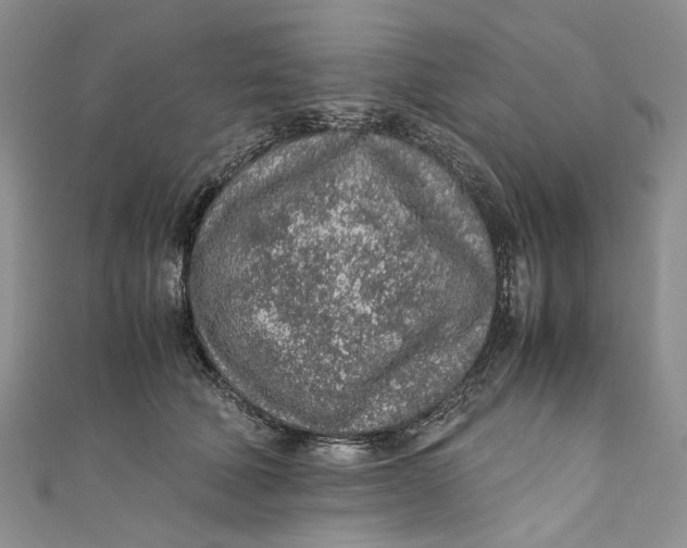 X0000110910610200907091438