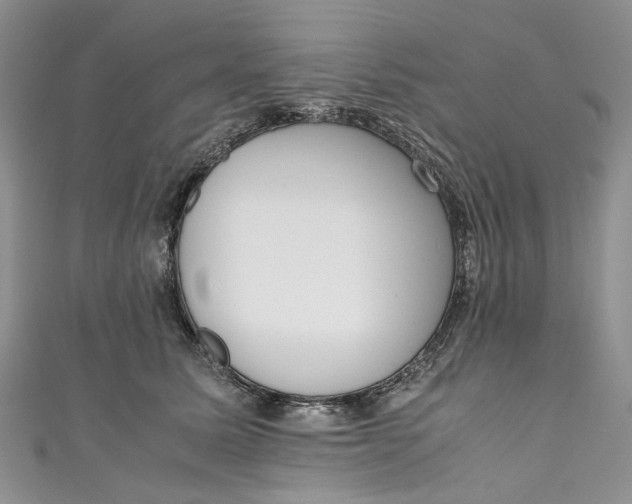 X0000110910611200907091438