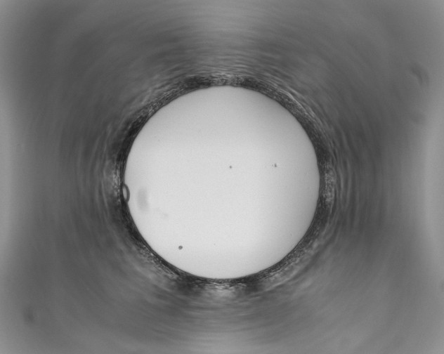 X0000110910613200907091438