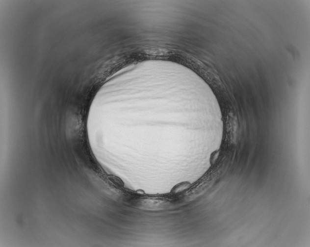 X0000110910614200907091438