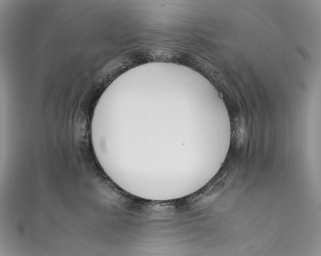 X0000110910619200907091438