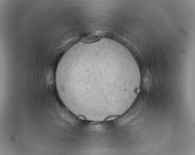 X0000110910620200907091438