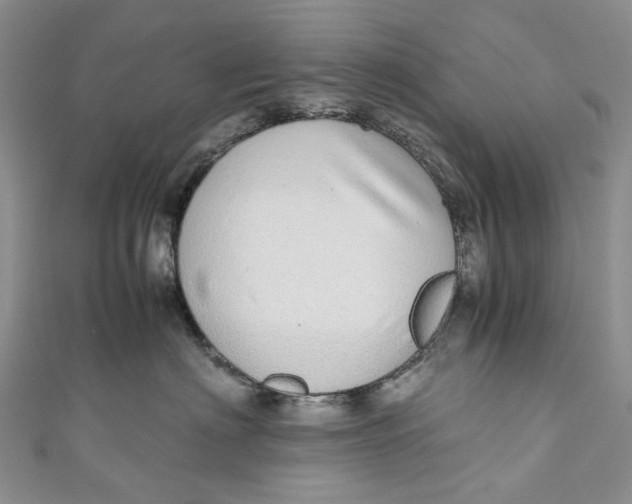 X0000110910622200907091438