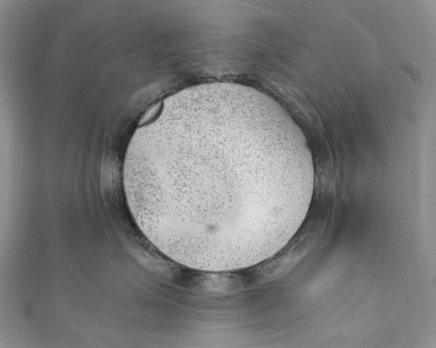 X0000110910623200907091438