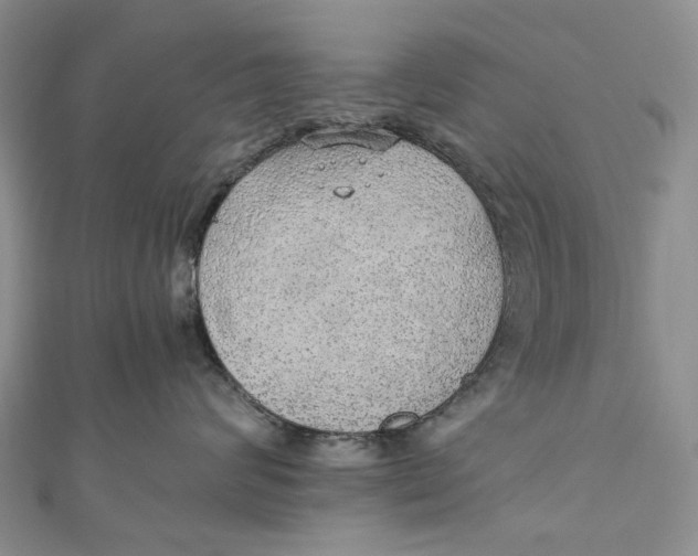 X0000110910624200907091438