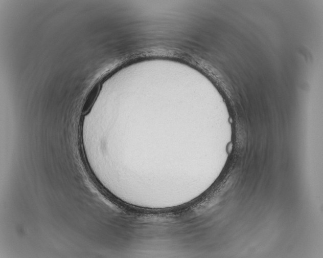 X0000110910625200907091437