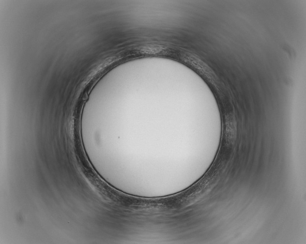 X0000110910626200907091437