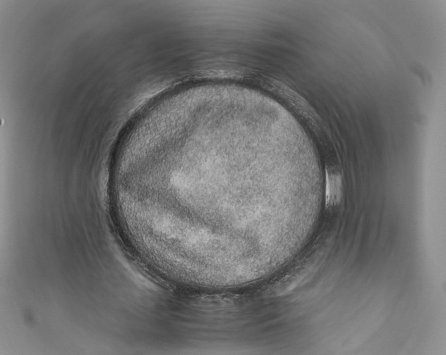 X0000110910627200907091437