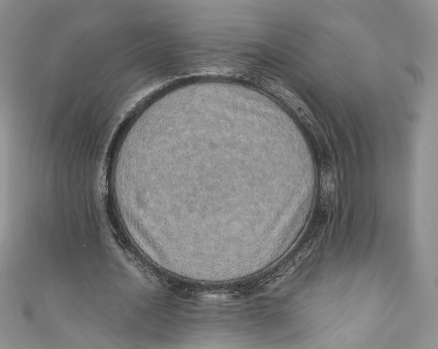 X0000110910628200907091437