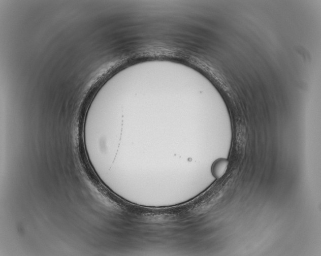 X0000110910629200907091437