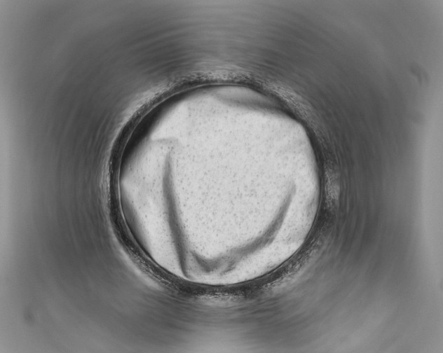 X0000110910630200907091437