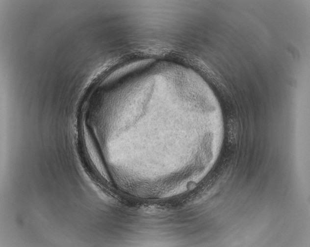 X0000110910634200907091437