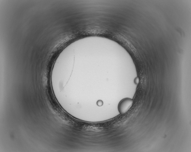 X0000110910635200907091437