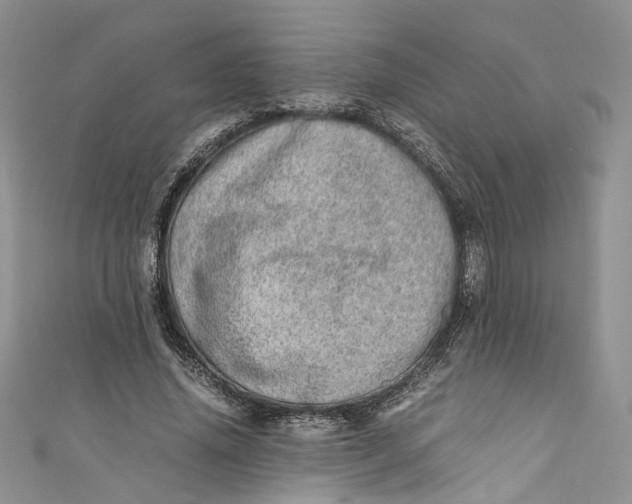 X0000110910636200907091437