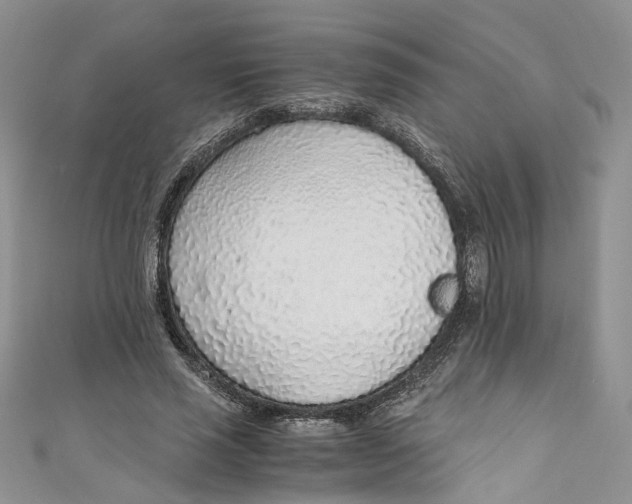 X0000110910637200907091437