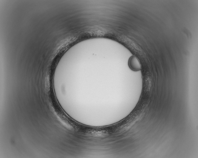 X0000110910638200907091437