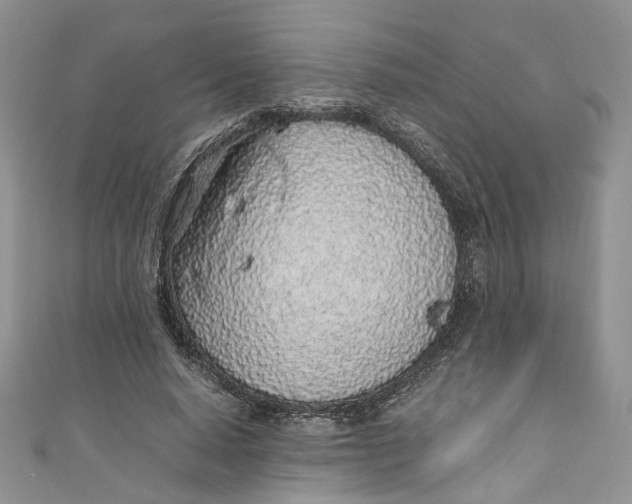 X0000110910640200907091437