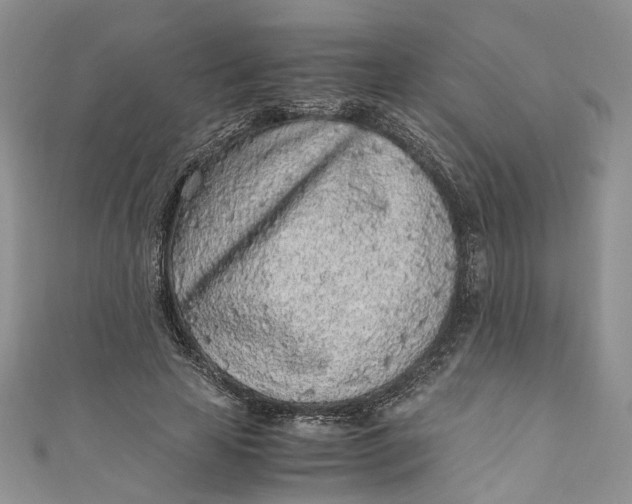 X0000110910641200907091437