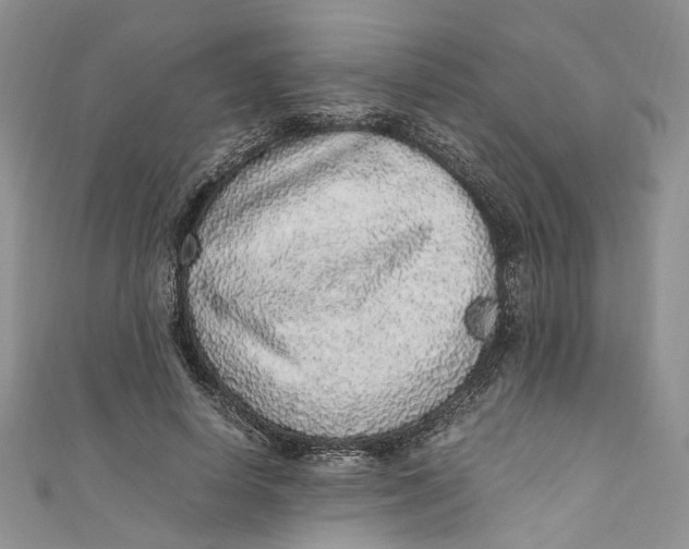 X0000110910642200907091437