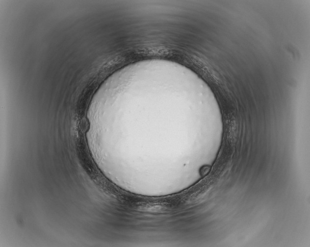 X0000110910643200907091437