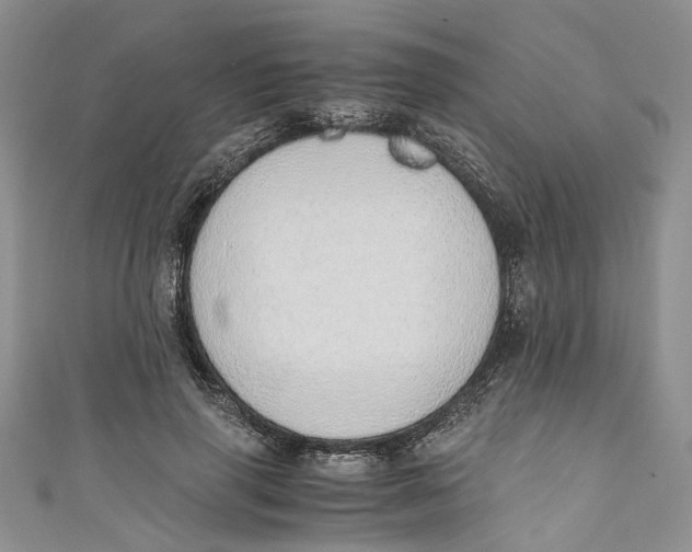 X0000110910645200907091437