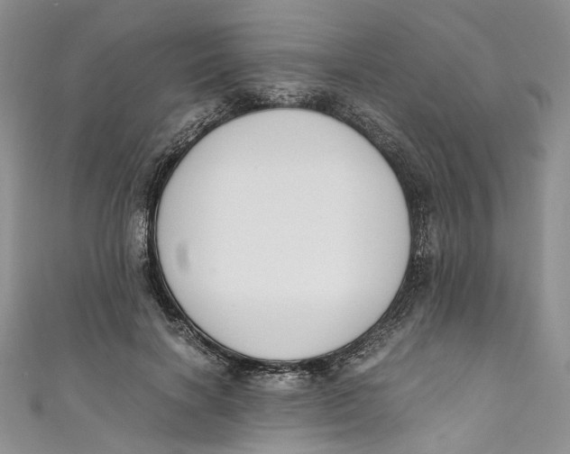 X0000110910646200907091437