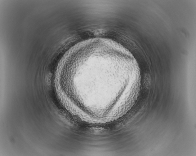 X0000110910650200907091437