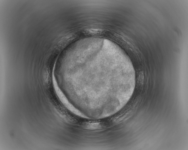 X0000110910651200907091437