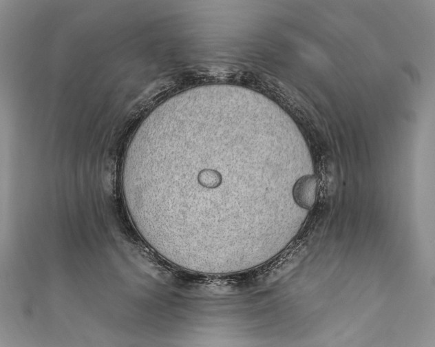 X0000110910656200907091437