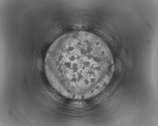 X0000110910659200907091437