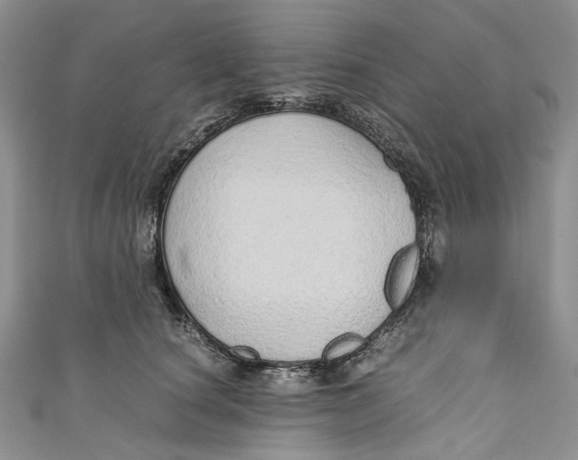 X0000110910660200907091437