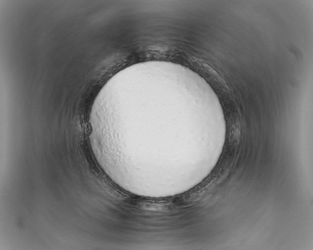 X0000110910661200907091437