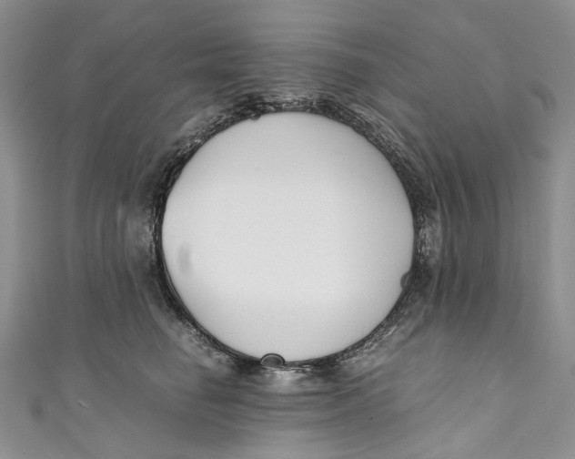 X0000110910662200907091437