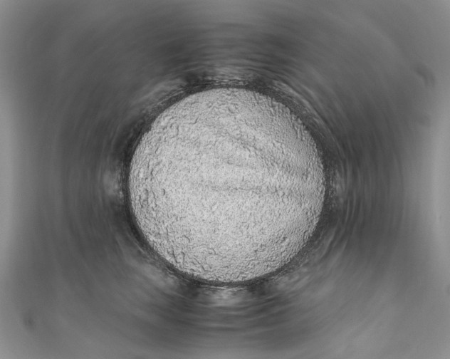 X0000110910663200907091438