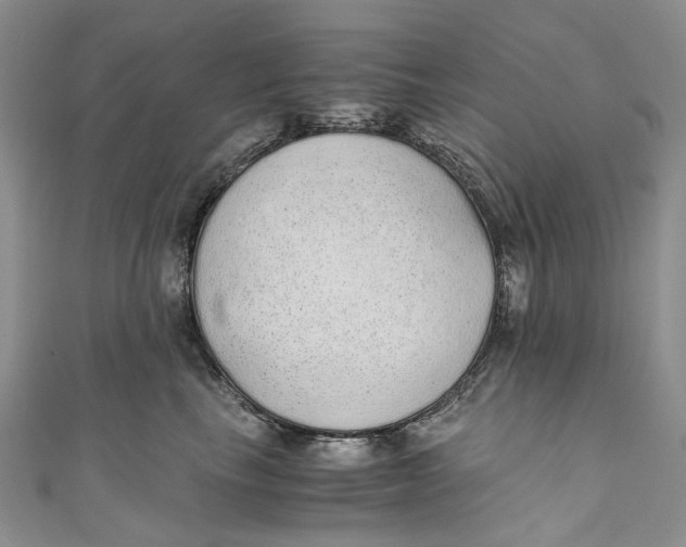 X0000110910665200907091438