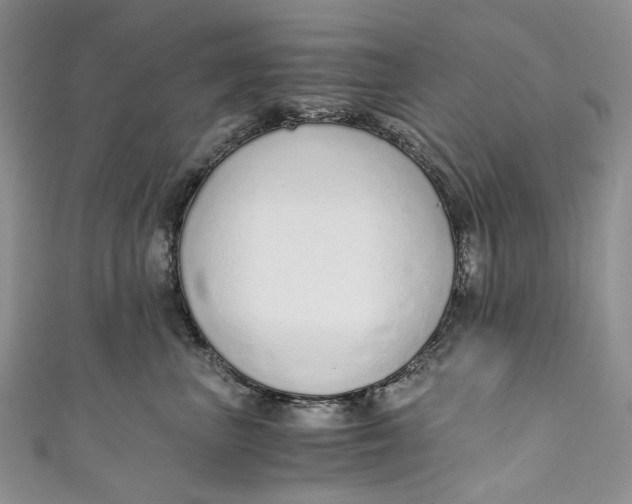 X0000110910667200907091438