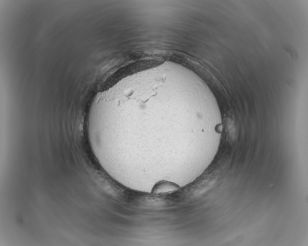 X0000110910668200907091438