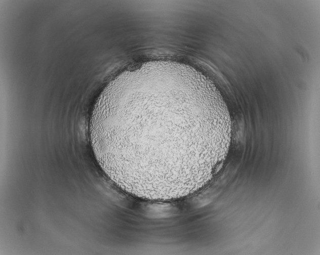 X0000110910669200907091438