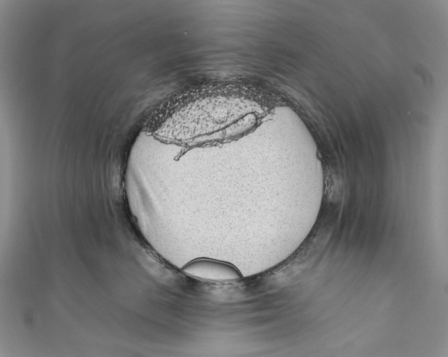 X0000110910670200907091438