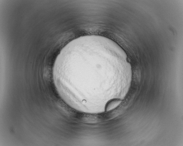 X0000110910671200907091438